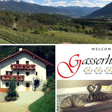 Gasserhof Aicha Natz-Schabs Εξωτερικό φωτογραφία
