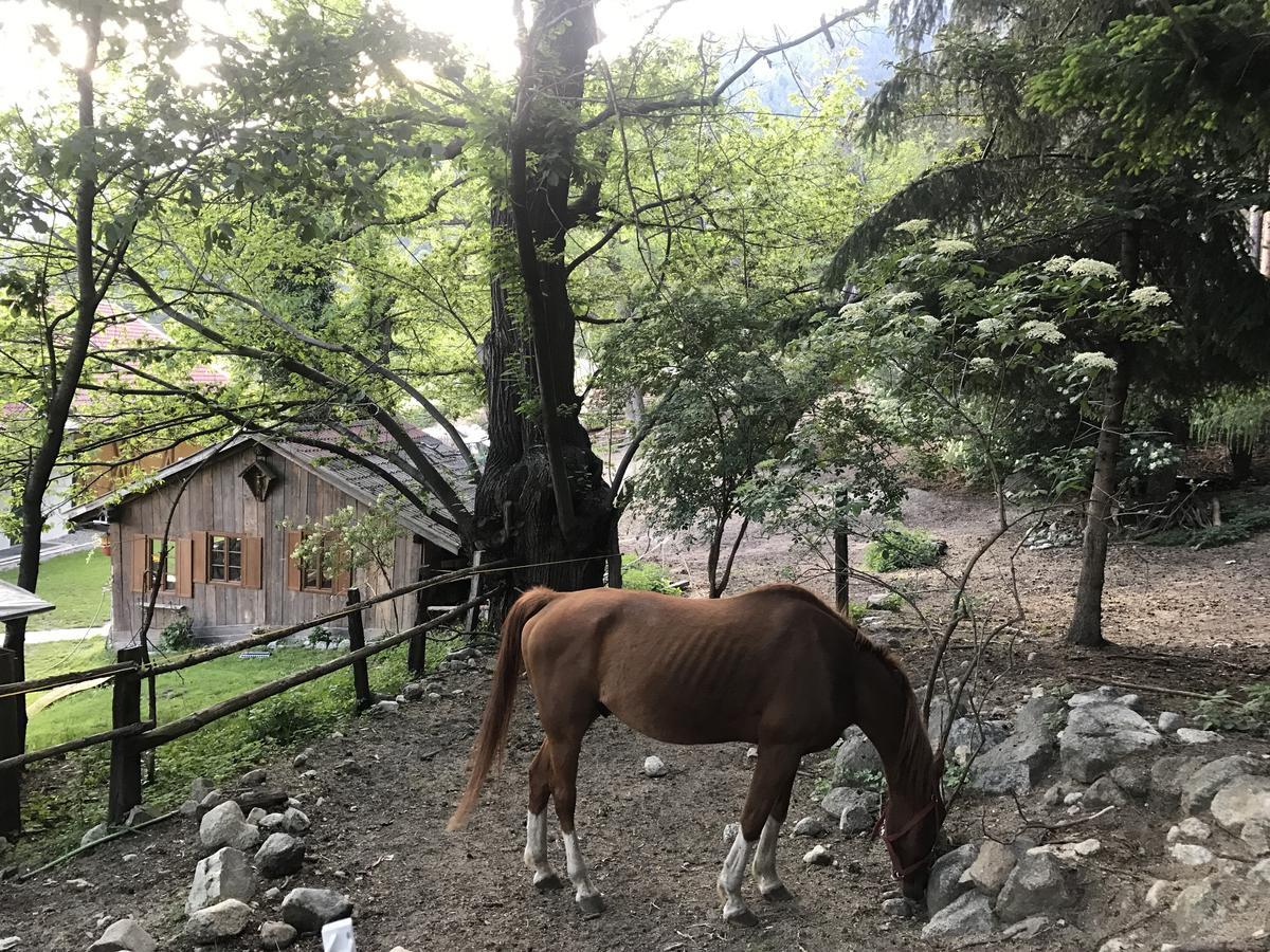 Gasserhof Aicha Natz-Schabs Εξωτερικό φωτογραφία